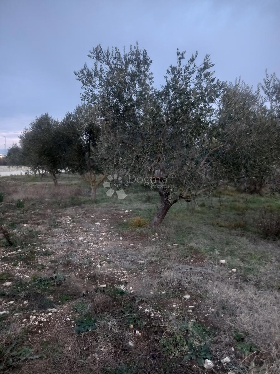 Terreno edificabile Sinjoretovo, Zadar, 8.244m2