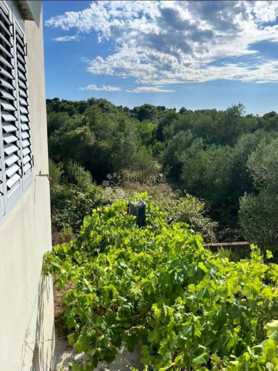 Casa Ugljan, Preko, 144m2