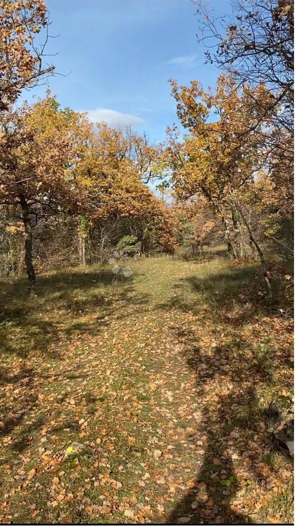 Terreno agricolo Drniš, 60,99m2