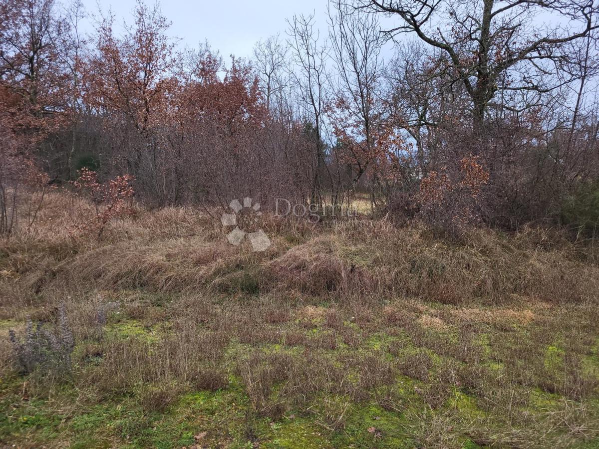 Terreno edificabile Perci, Poreč, 999m2