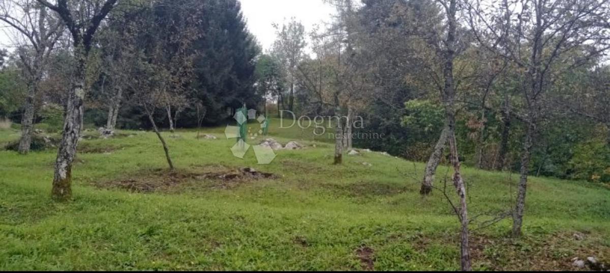 Terreno agricolo Osojnik, Vrbovsko, 40.606m2