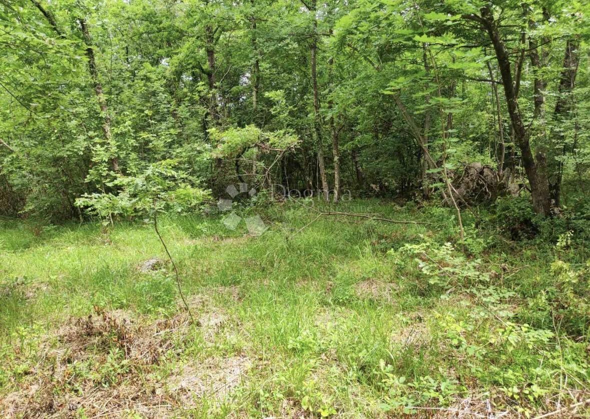 Terreno edificabile Roč, Buzet, 1.320m2