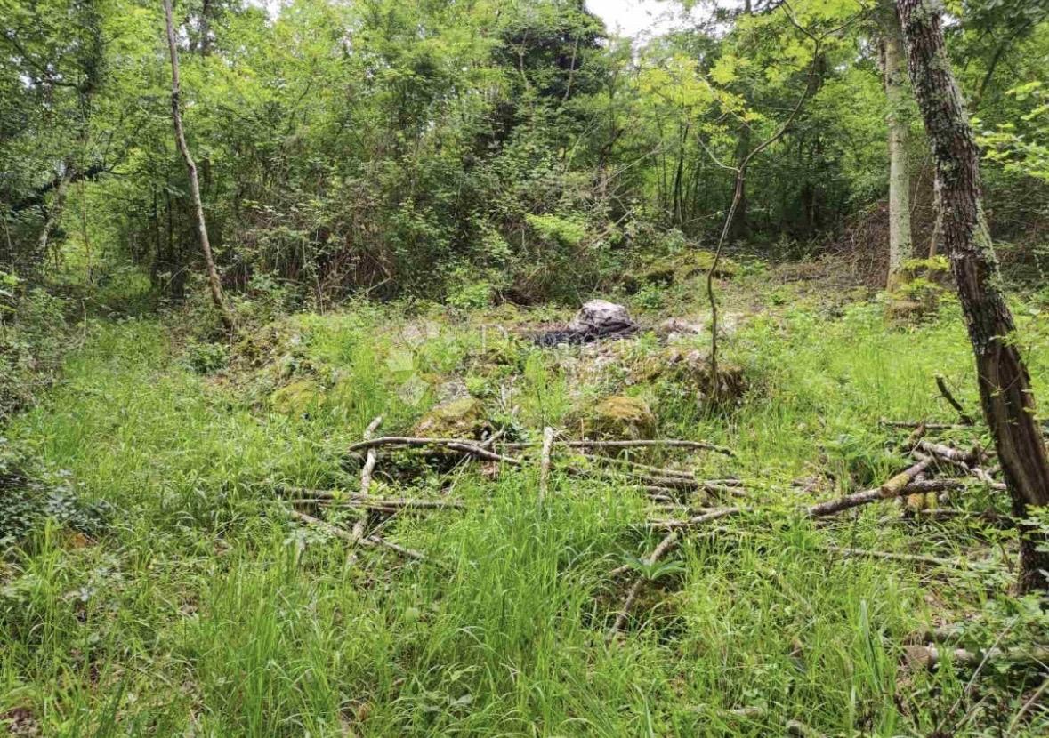 Terreno edificabile Roč, Buzet, 1.320m2