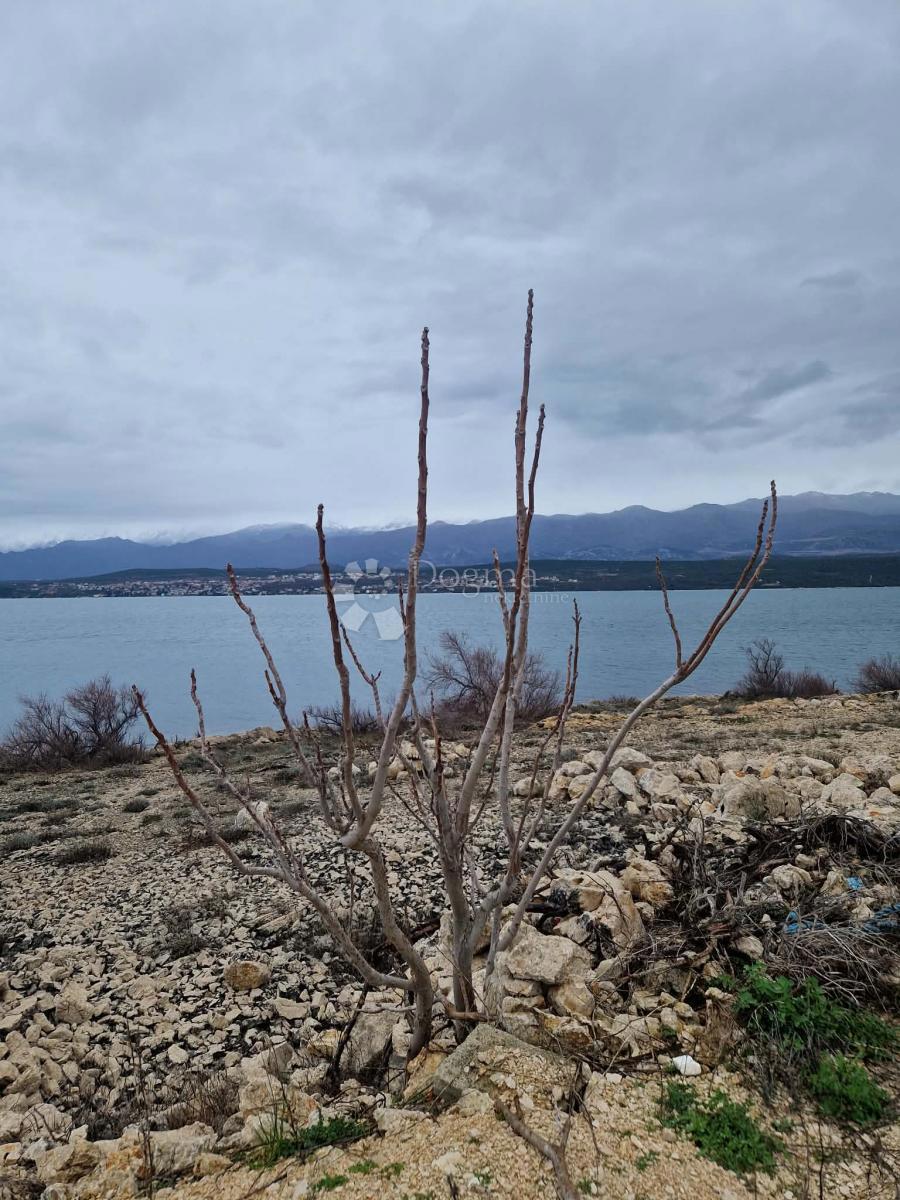 Terreno edificabile Novigrad, 2.376m2