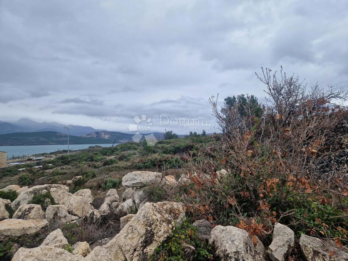 Terreno edificabile Novigrad, 2.376m2