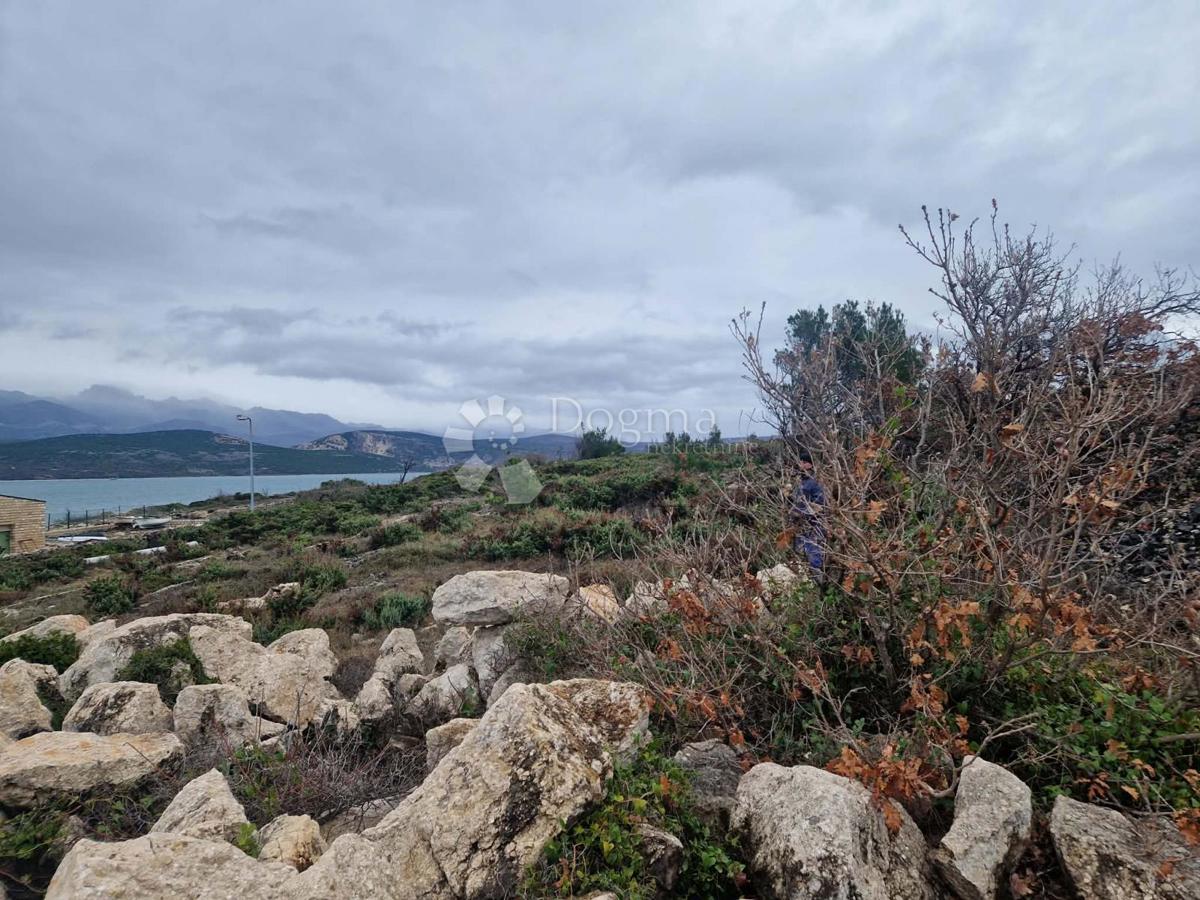 Terreno edificabile Novigrad, 2.376m2