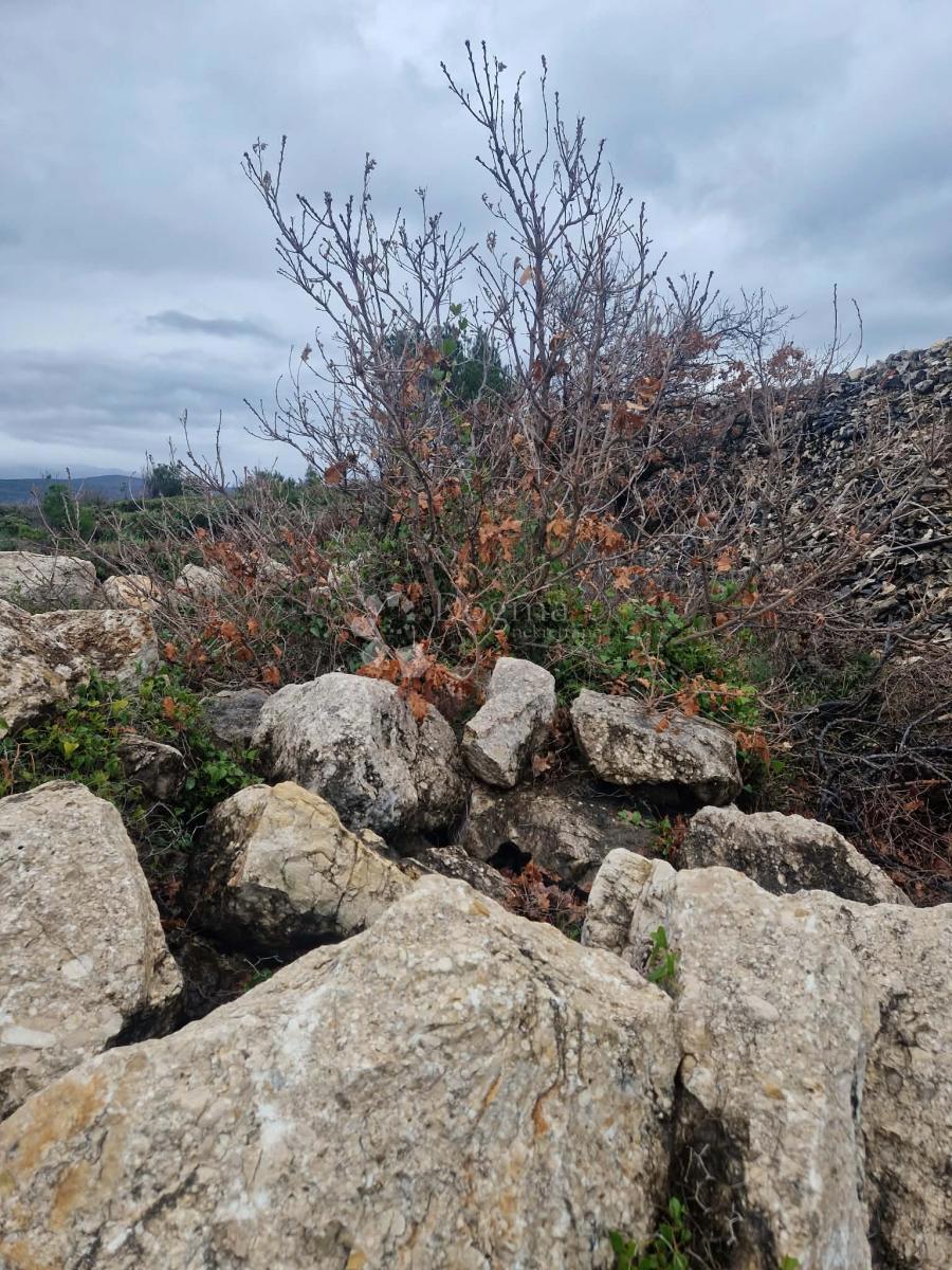 Terreno edificabile Novigrad, 2.376m2