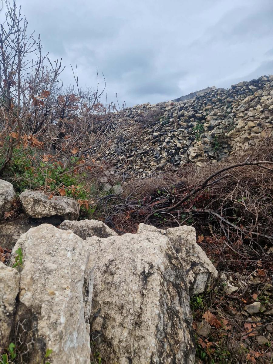 Terreno edificabile Novigrad, 2.376m2