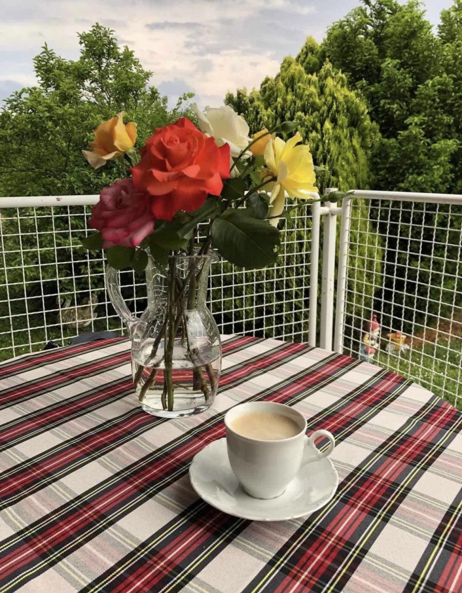 Casa Dalj, Erdut, 264m2