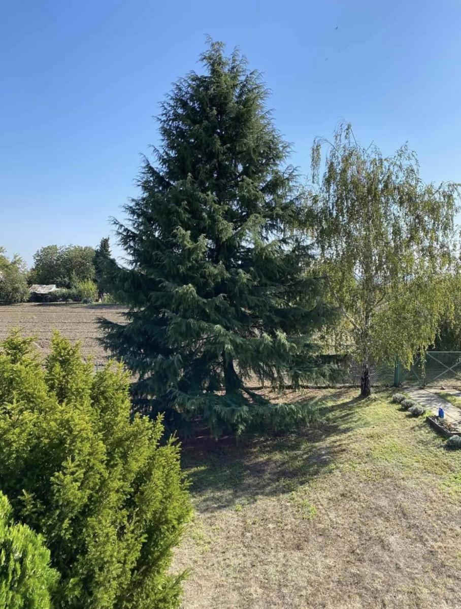 Casa Dalj, Erdut, 264m2