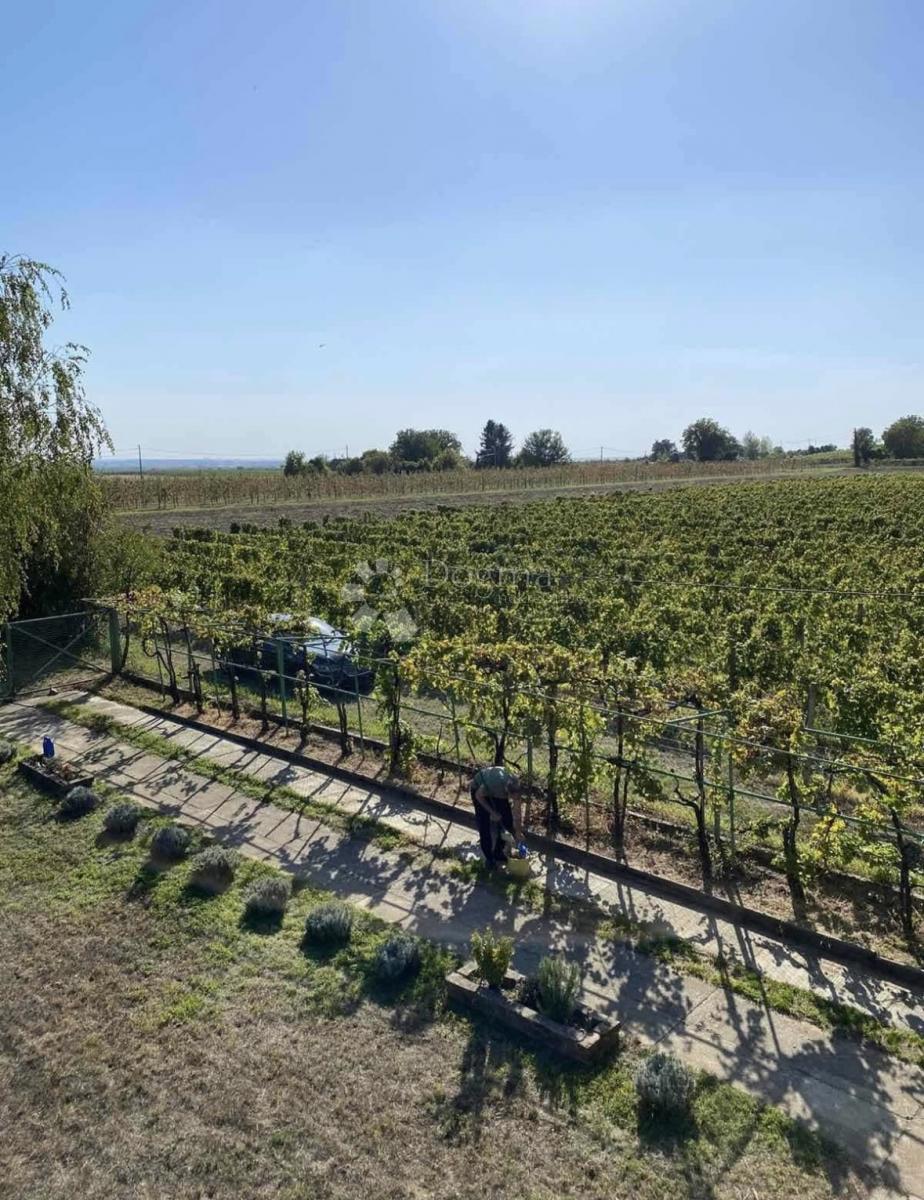 Casa Dalj, Erdut, 264m2