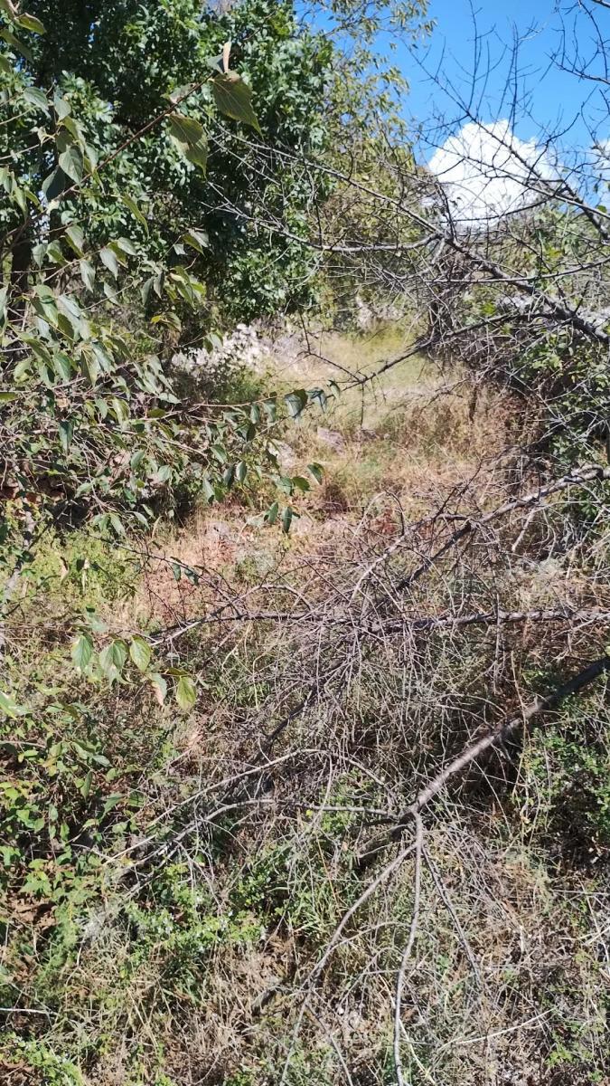 Terreno edificabile Seline, Starigrad, 918m2