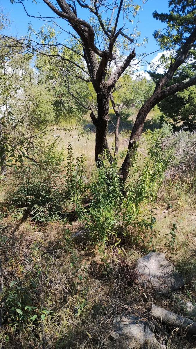 Terreno edificabile Seline, Starigrad, 918m2