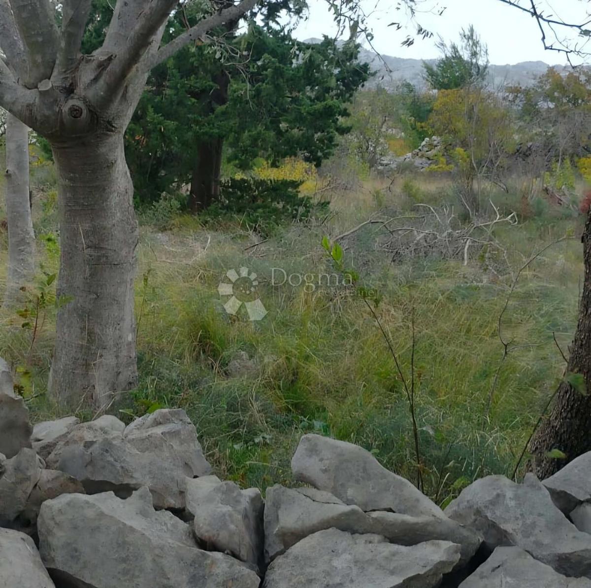 Terreno edificabile Seline, Starigrad, 918m2