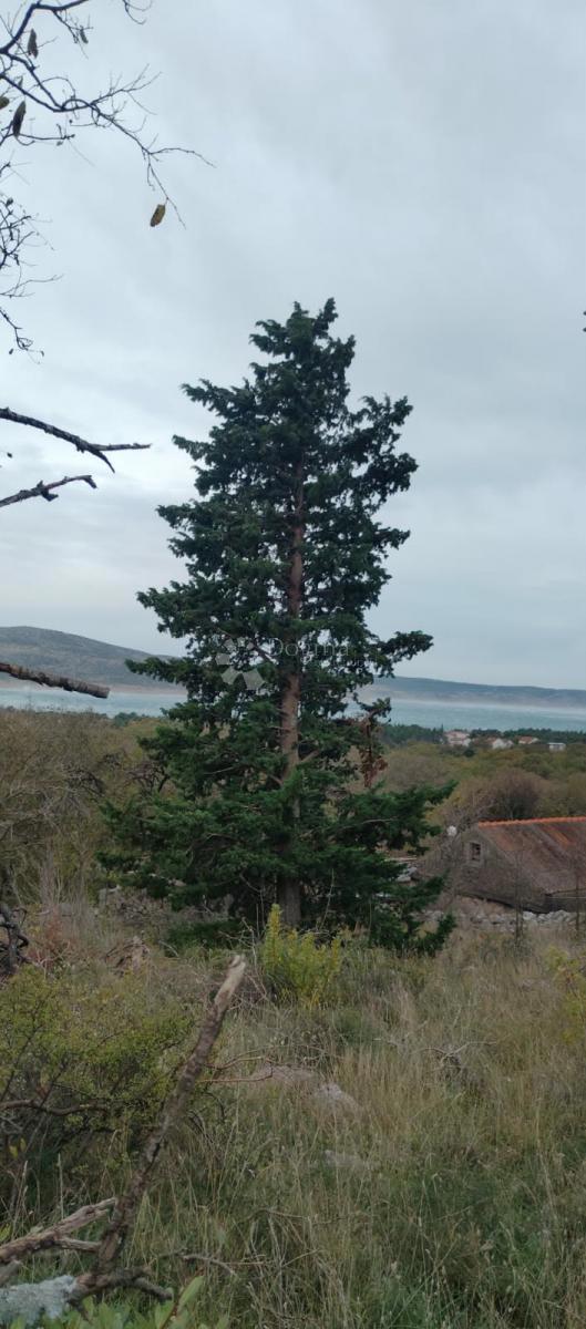 Terreno edificabile Seline, Starigrad, 918m2