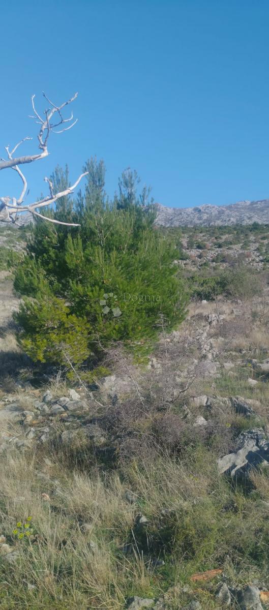 Terreno edificabile Seline, Starigrad, 918m2