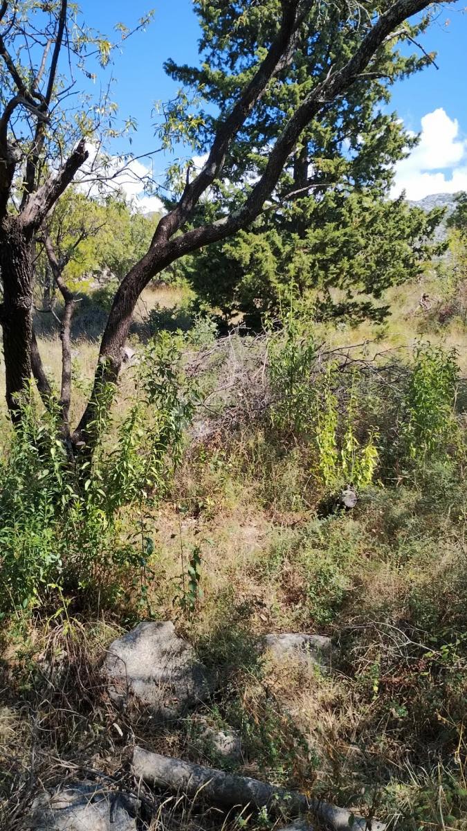 Terreno edificabile Seline, Starigrad, 918m2