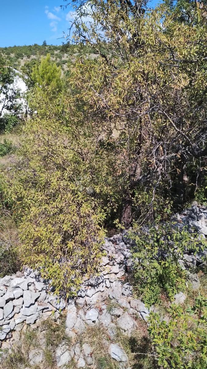 Terreno edificabile Seline, Starigrad, 918m2