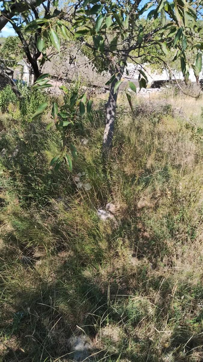 Terreno edificabile Seline, Starigrad, 918m2