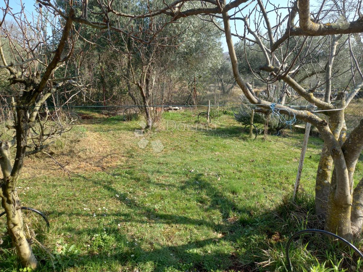 Casa con potenziale edificabile – via Mirna, Zambratija