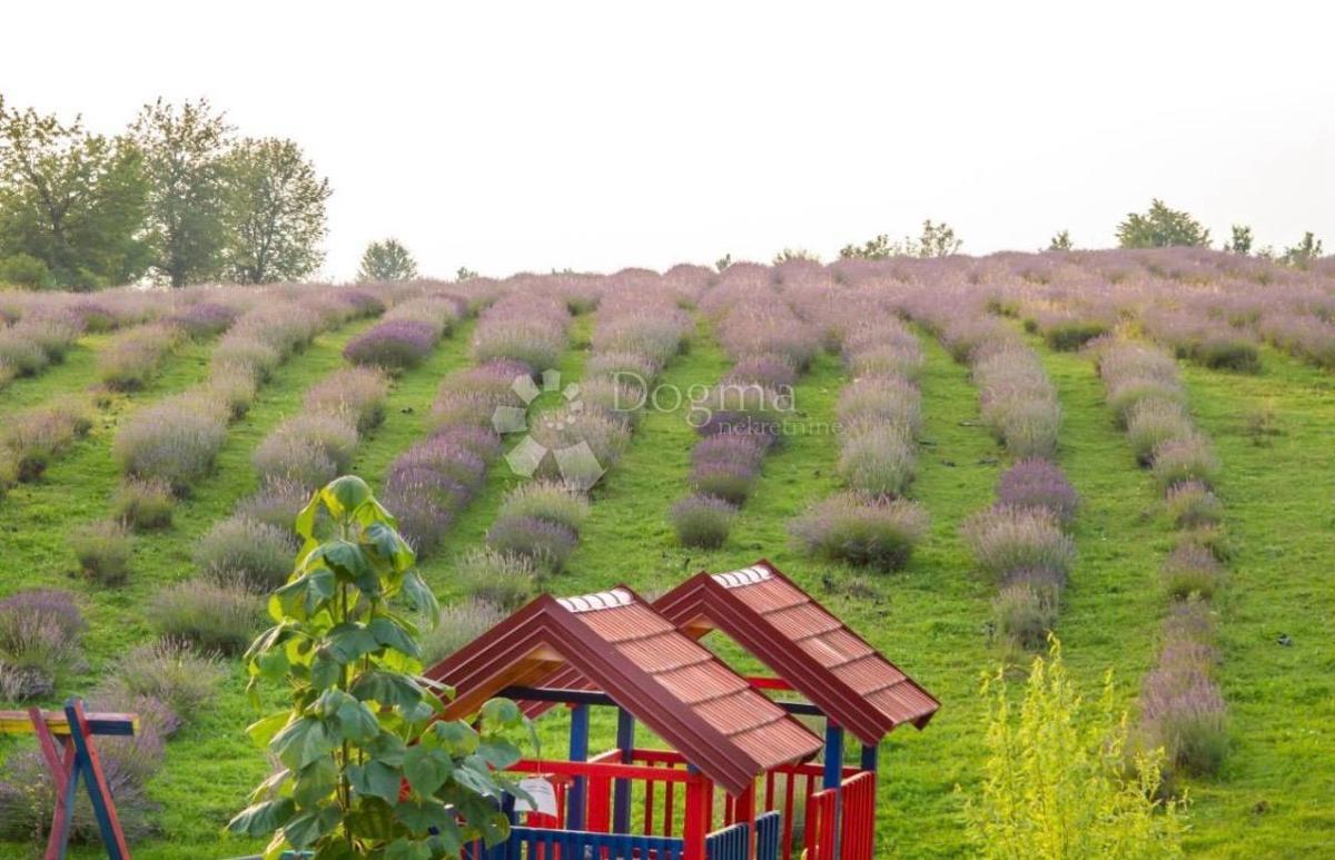 Casa Lipovac, Rakovica, 350m2