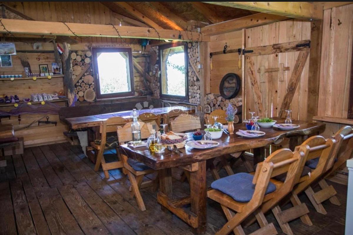 Casa Lipovac, Rakovica, 350m2