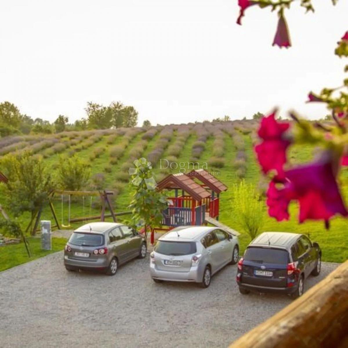 Casa Lipovac, Rakovica, 350m2