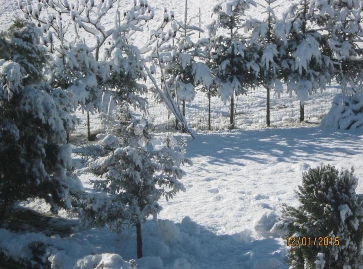 Casa Lipovac, Rakovica, 350m2