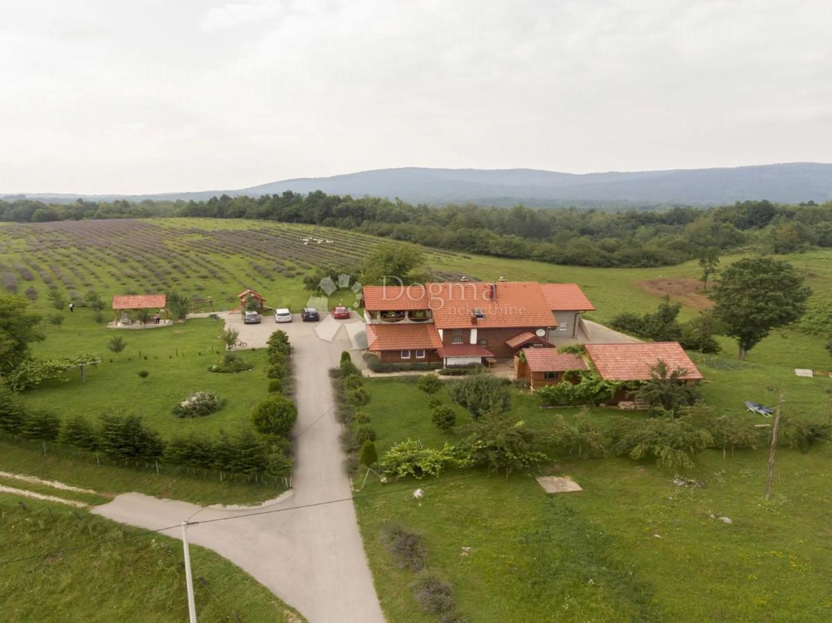 Casa Lipovac, Rakovica, 350m2