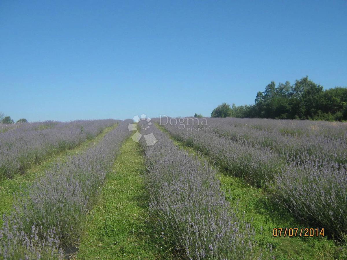 Casa Lipovac, Rakovica, 350m2
