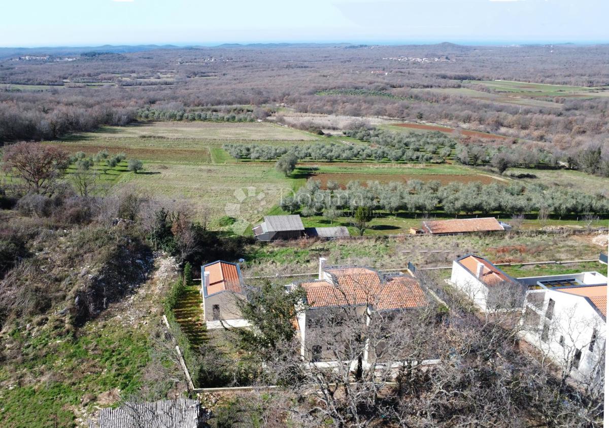 Casa Perci, Poreč, 300m2