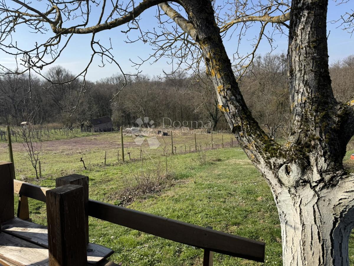 Casa Kobasičari, Kapela, 124m2