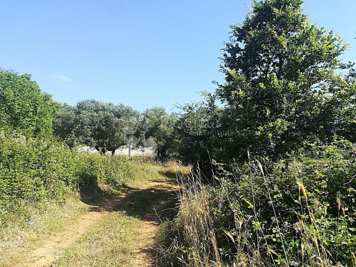 Terreno Šegotići, Marčana, 1.750m2