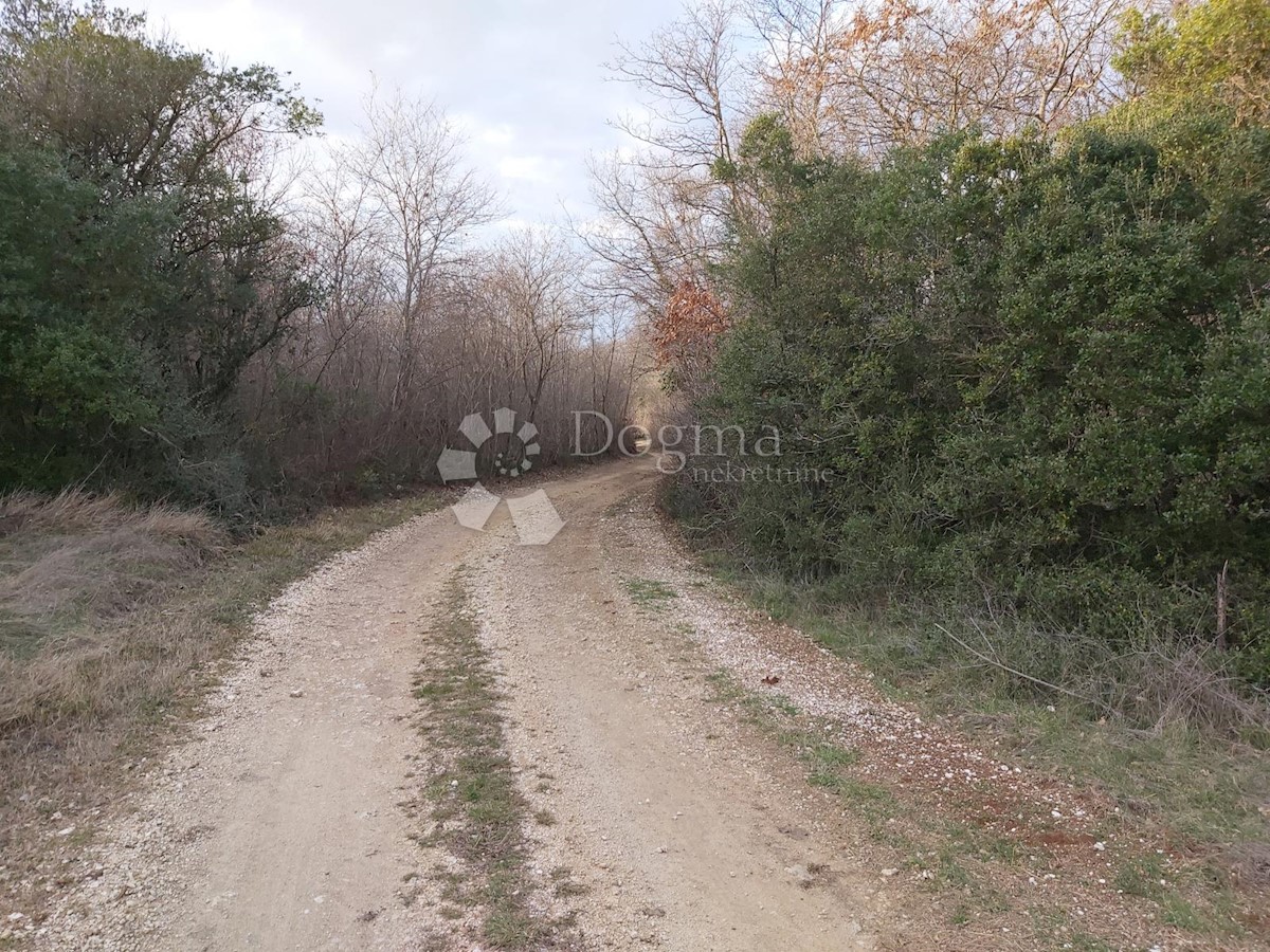 Terreno Vodnjan, 18.600m2