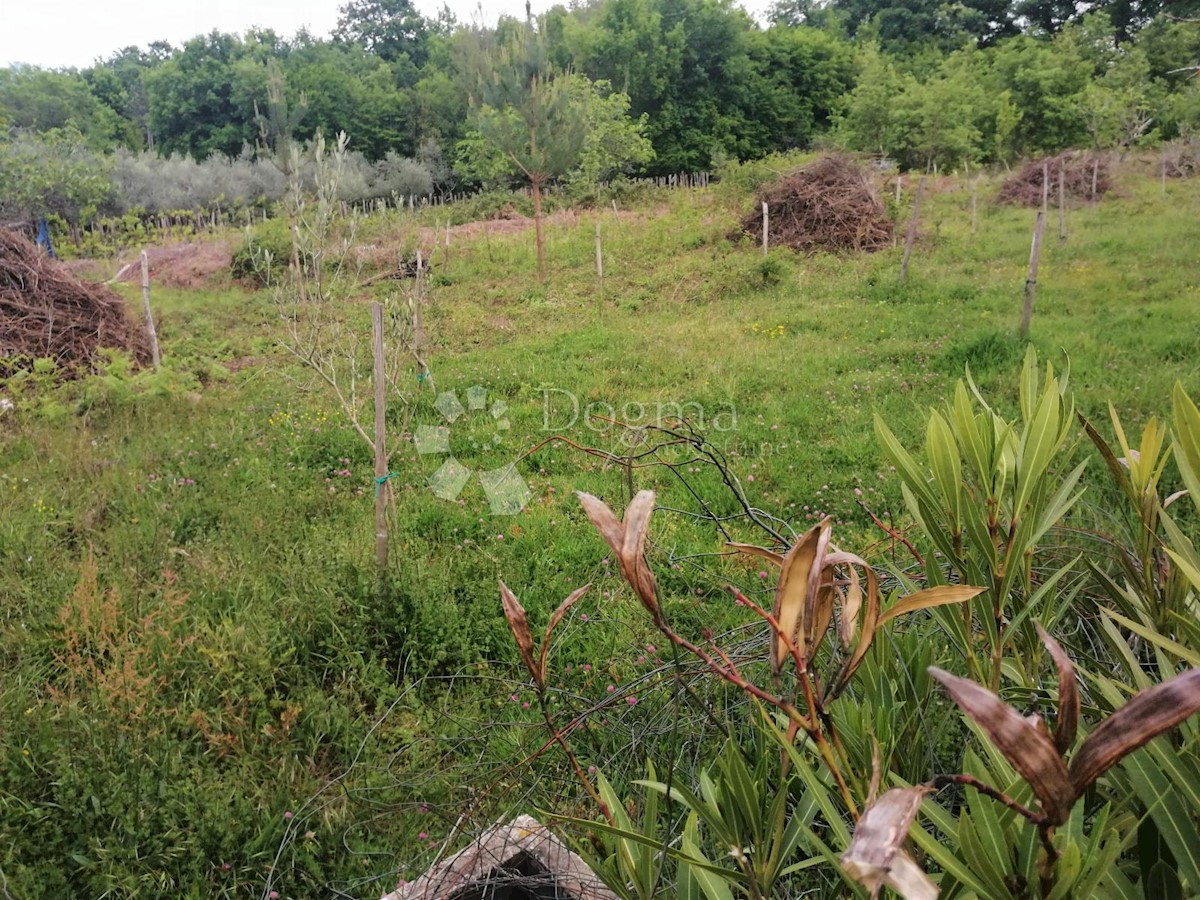 Terreno Čižići, Dobrinj, 1.523m2