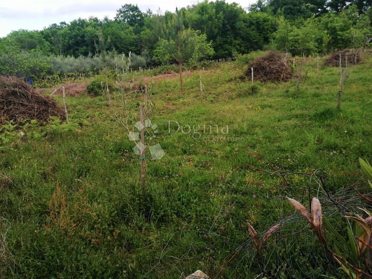 Terreno Čižići, Dobrinj, 1.523m2