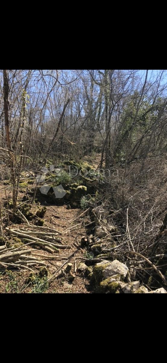 Terreno Sveti Vid Dobrinjski, Dobrinj, 2.976m2