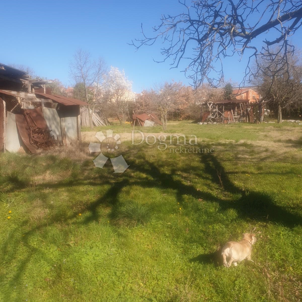 Casa Labinci, Kaštelir-Labinci, 343m2