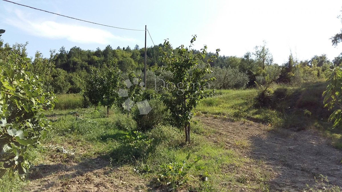 Terreno Kršikla, Pazin - Okolica, 1.747m2