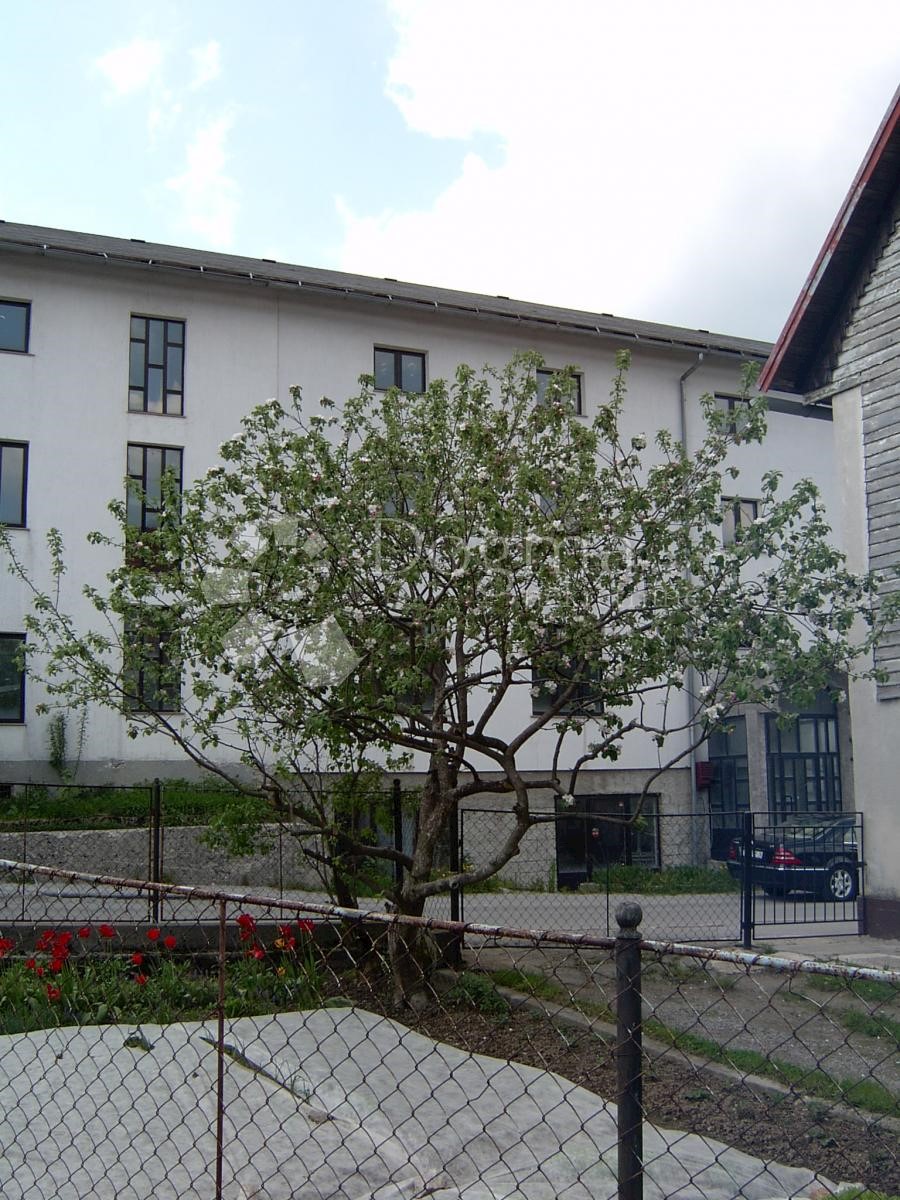 Albergo Tršće, Čabar, 1.900m2