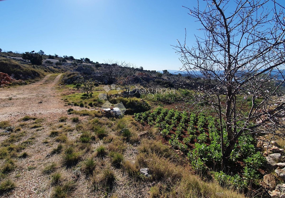 Terreno Rogoznica, 11.870m2