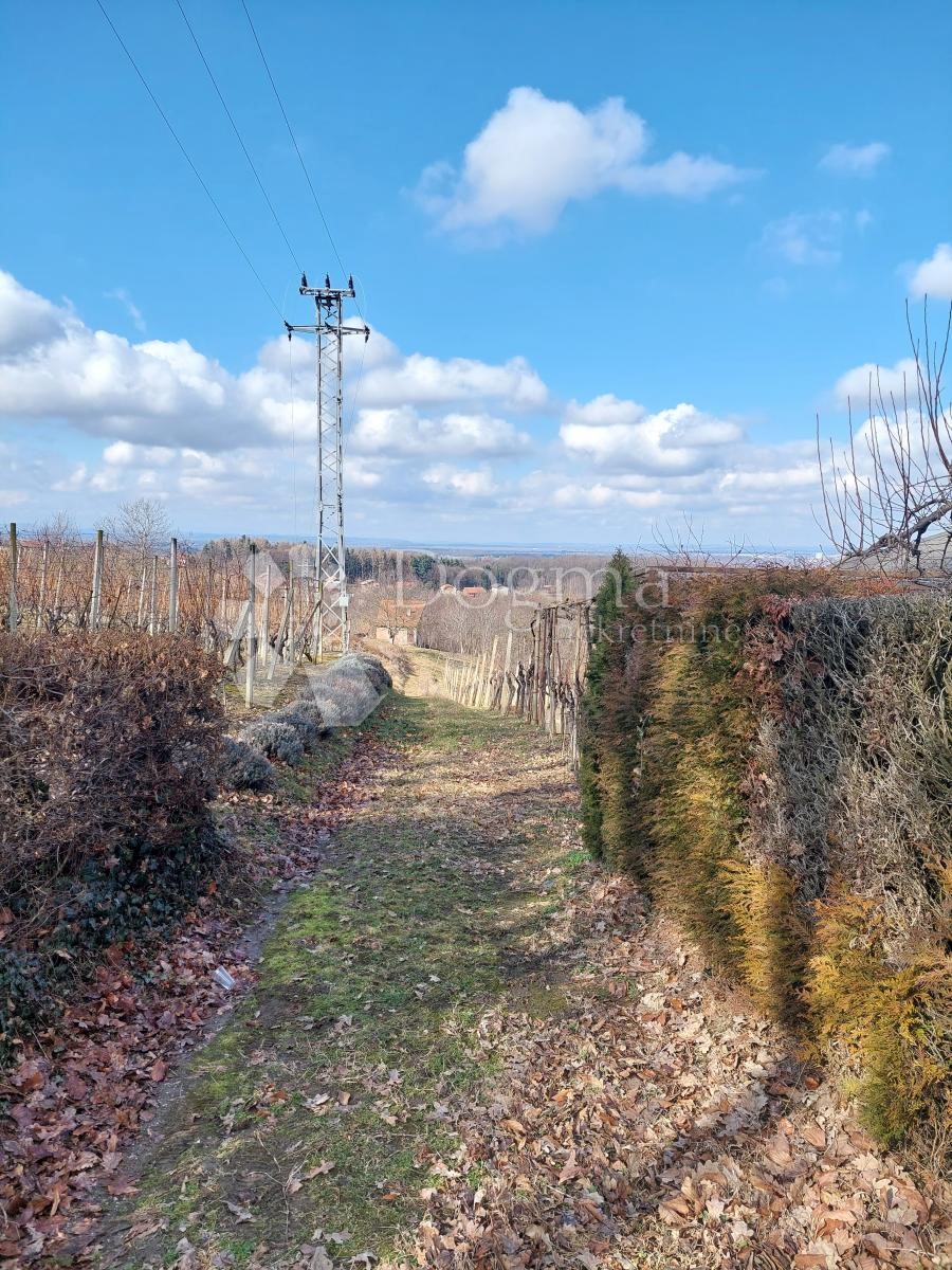 Terreno Varaždin Breg, Gornji Kneginec, 4.605m2