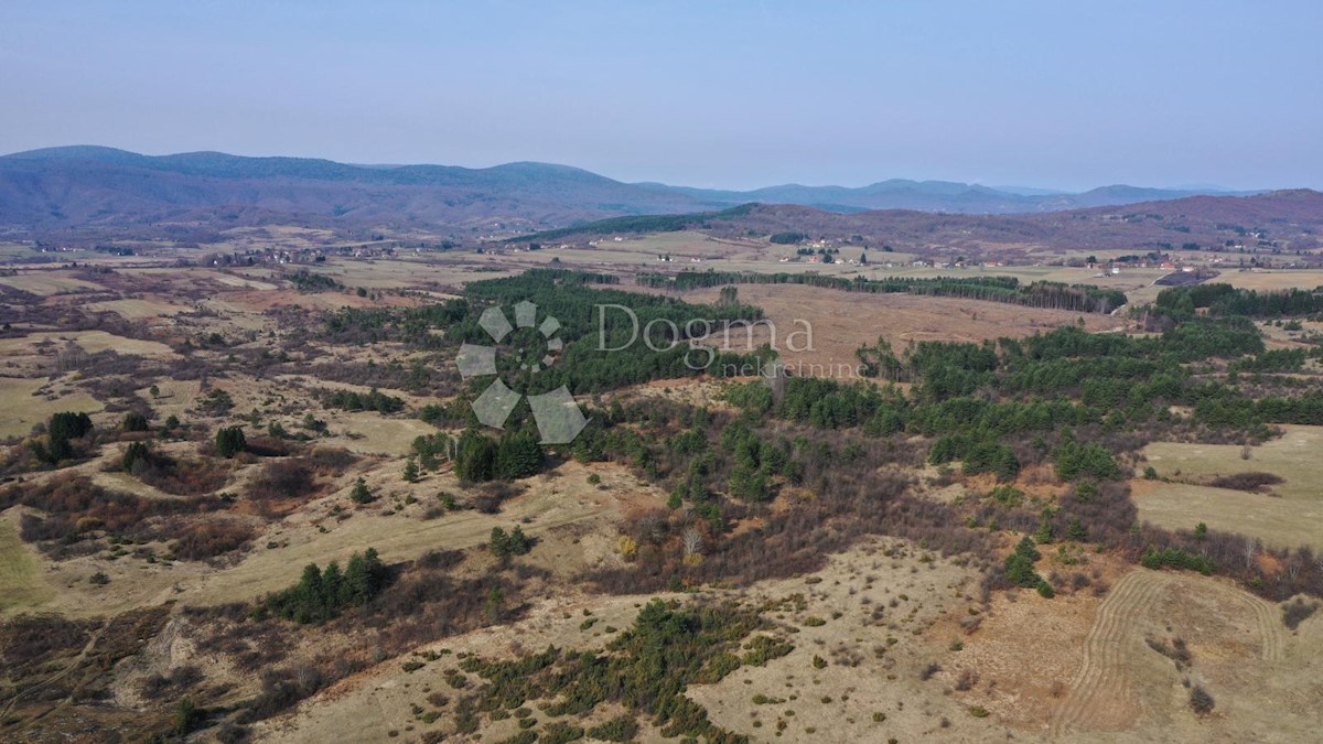 Terreno Latin, Plaški, 6.142m2