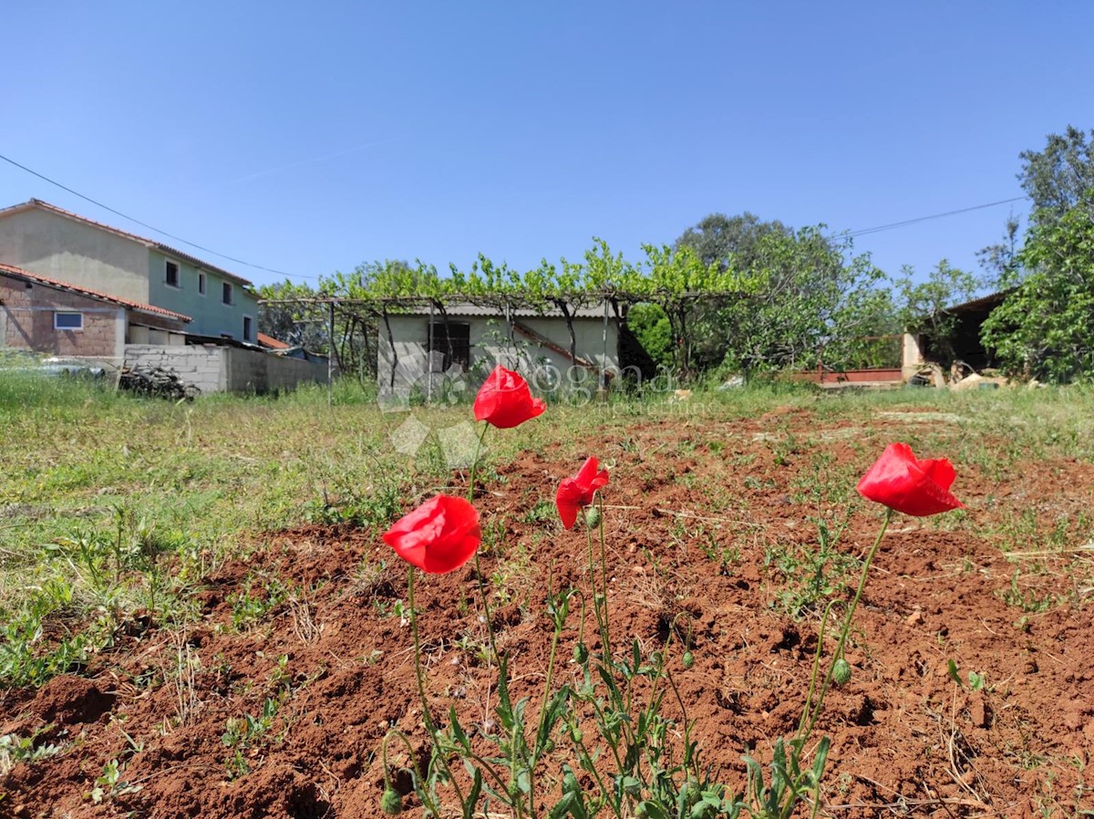 Casa Fažana, 66m2