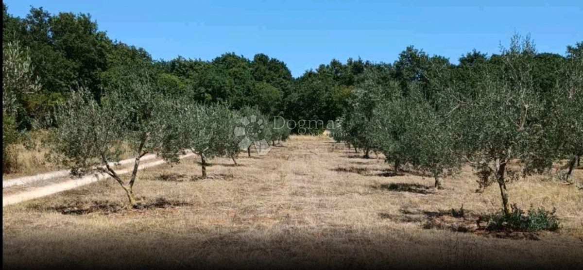 Casa Šišan, Ližnjan, NE, 100m2