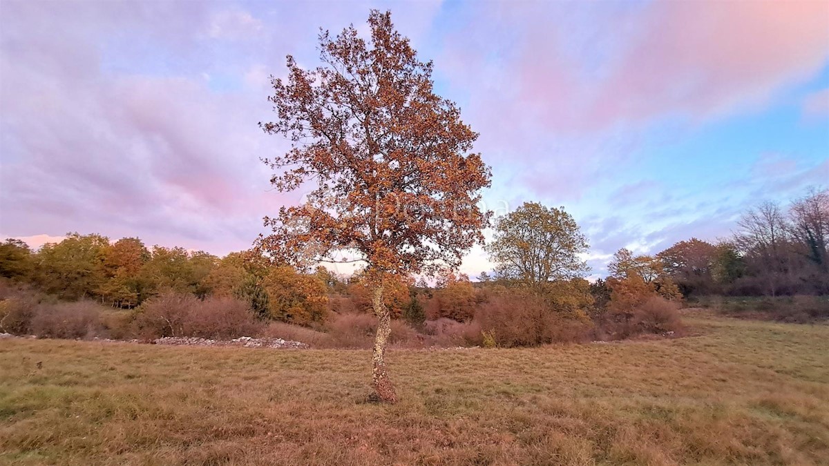 Terreno Tinjan, 3.068m2