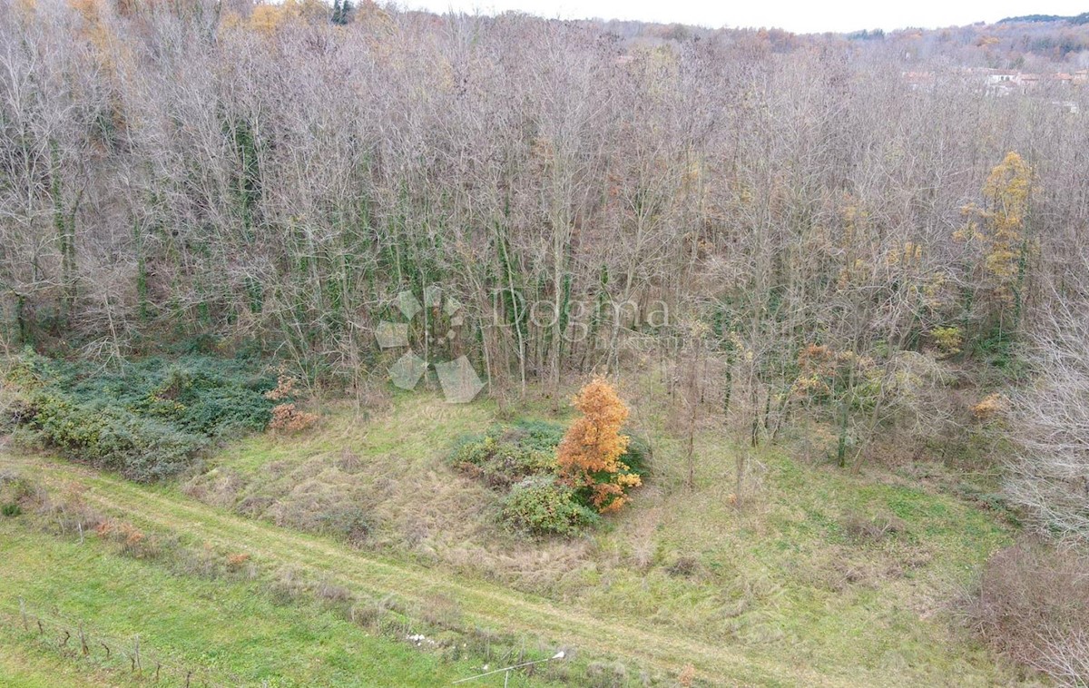 Terreno Labin, 5.000m2