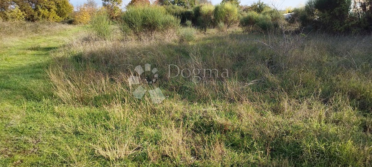 TERRENO EDIFICABILE CON BELLISSIMA VISTA SULL'ISOLA DI BRIJUN