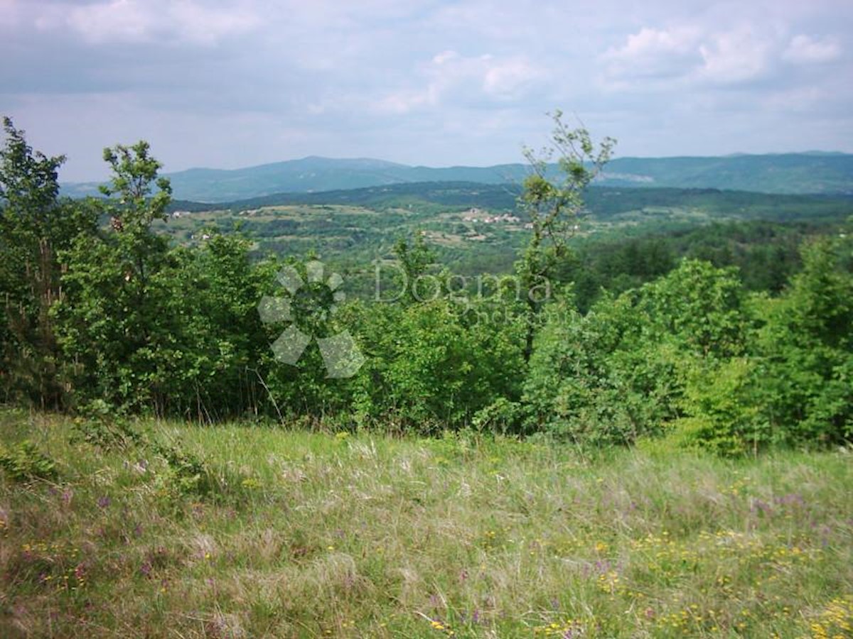 Terreno Lesišćina, Lupoglav, 83.294m2