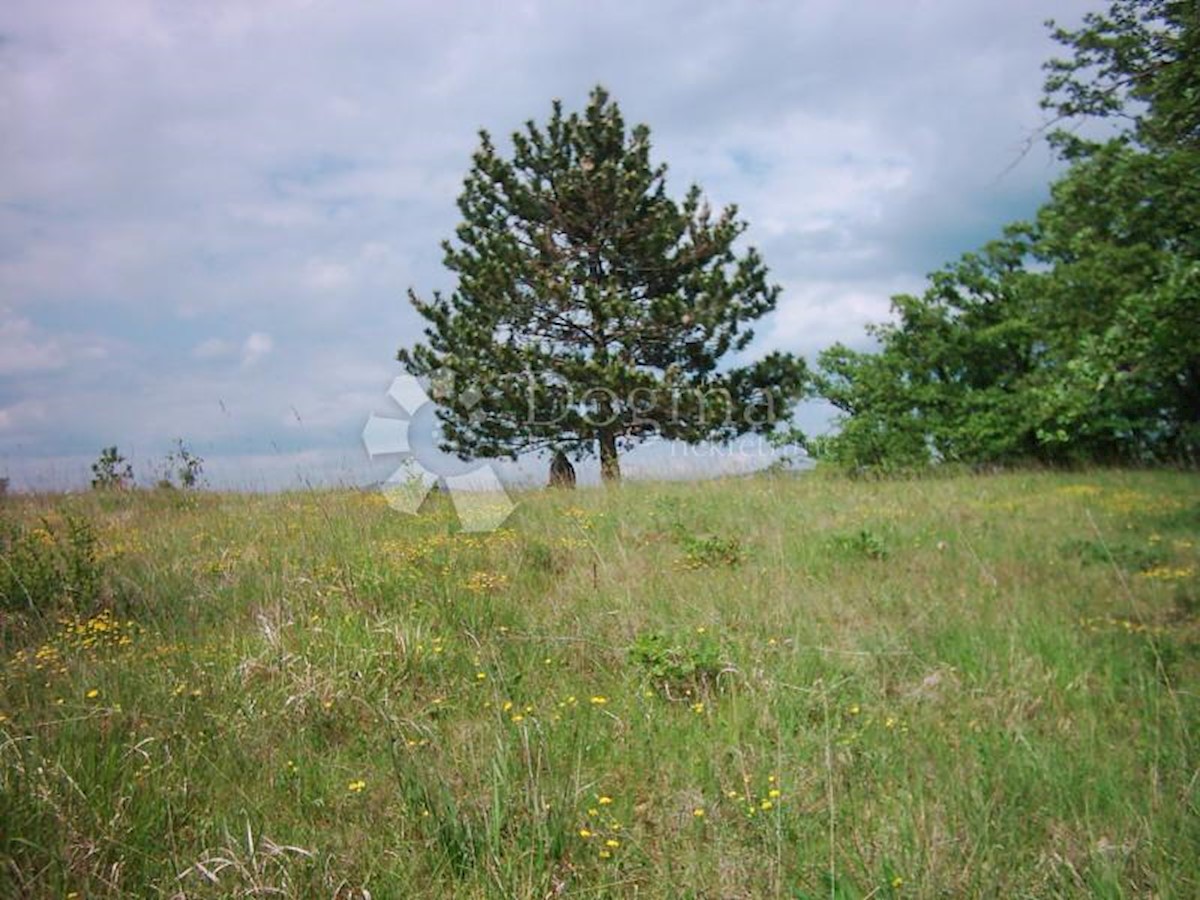 Terreno Lesišćina, Lupoglav, 83.294m2